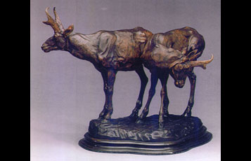 "Pronghorn Antelope Pair"